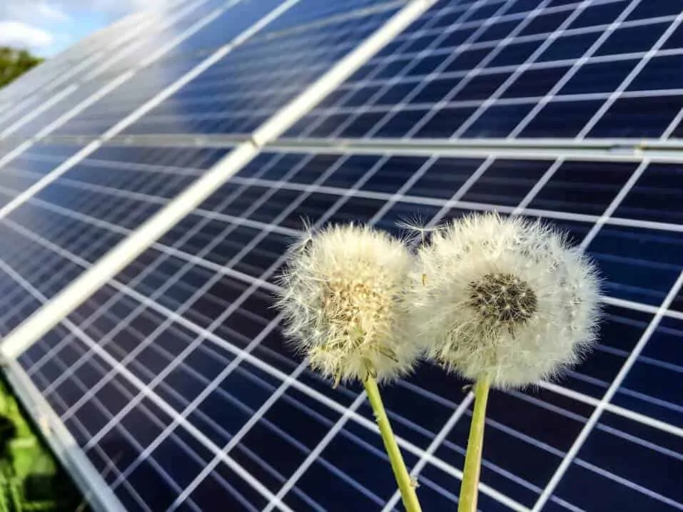 Renewable Energy Projects